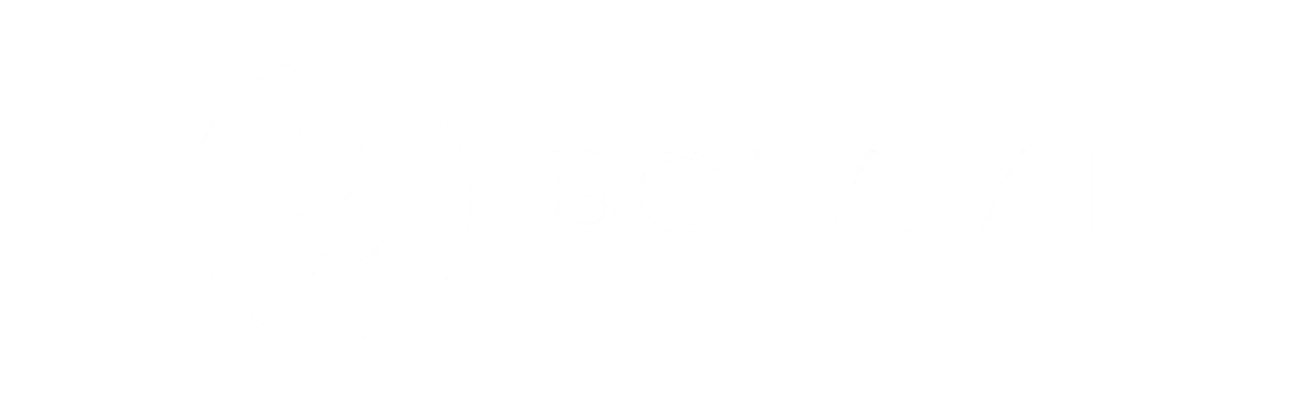 BOLA AI