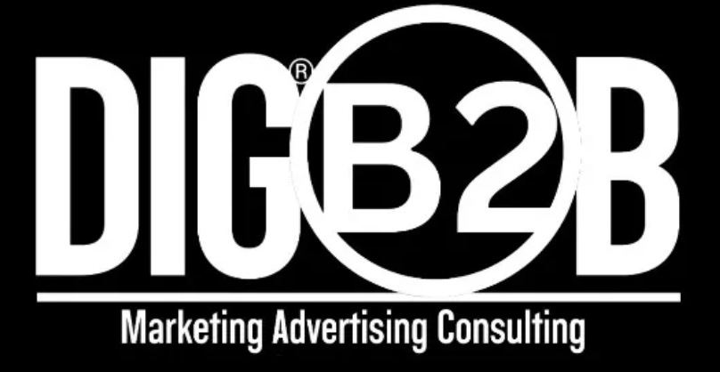 DIGB2B Services